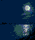 夜の湖